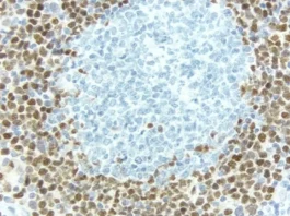 Antigen Unmasking Solution, Tris-Based