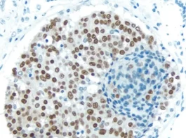 Antigen Unmasking Solution, Citric Acid Based