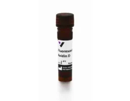 Fluorescein Avidin D, FITC