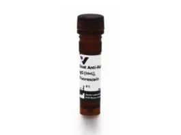 Goat Anti-Rabbit IgG Antibody (H+L), Fluorescein