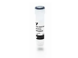 Horse Anti-Goat IgG Antibody (H+L), Biotinylated