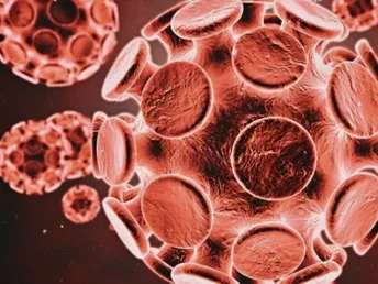 immunology