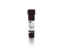 Lens Culinaris Agglutinin (LCA), DyLight 649