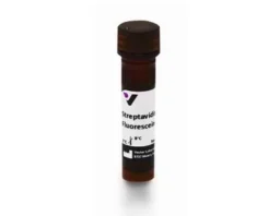 streptavidin-fluorescein