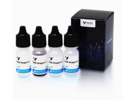 TMB Substrate Kit, Peroxidase (HRP), (3,3′, 5,5′-tetramethylbenzidine)