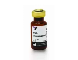 Wheat Germ Agglutinin (WGA), Unconjugated