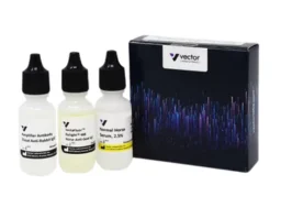 VectaFluor Excel Amplified Anti-Rabbit IgG, DyLight 488 Antibody Kit