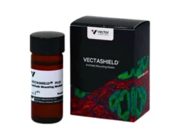 vectashield plus antifade